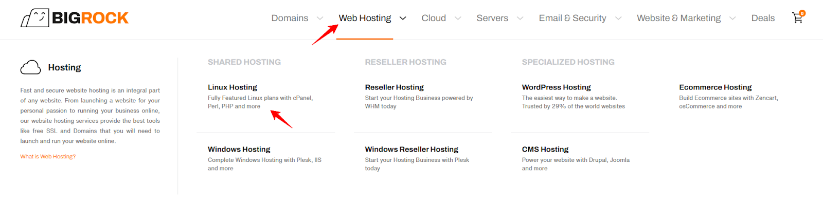 screenshot of BigRock Linux Hosting button