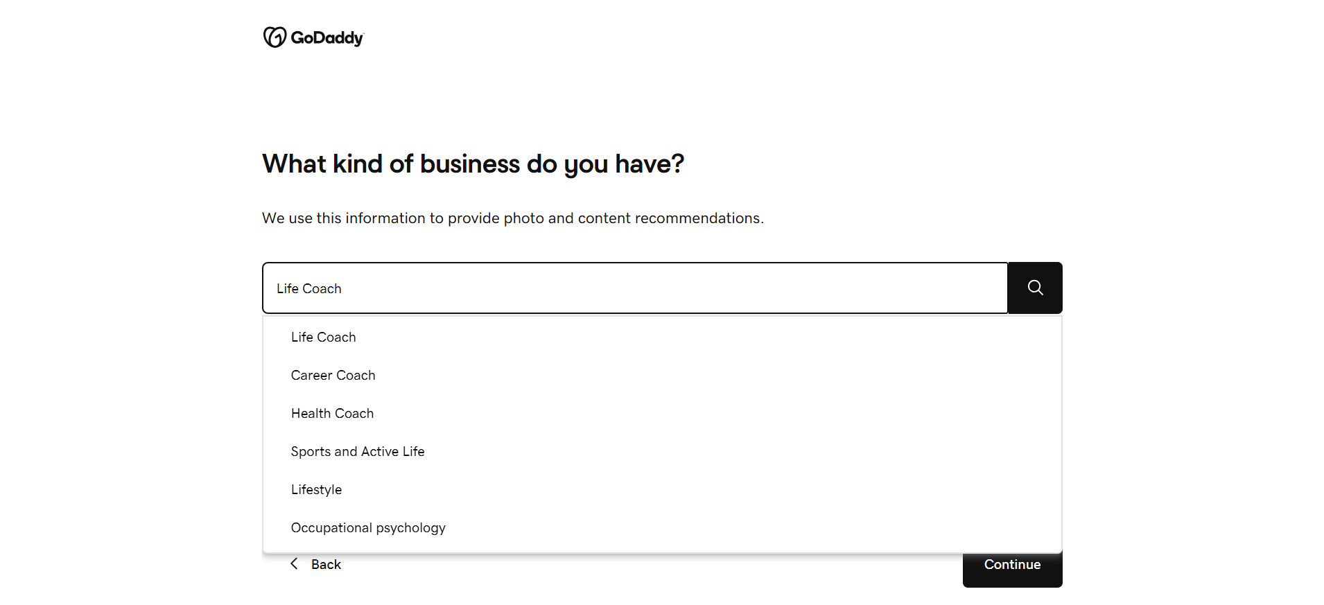screenshot of GoDaddy website Kind of business set up