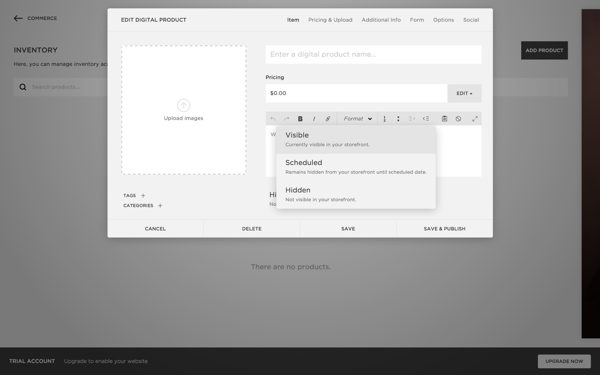 screenshot of Squarespace 'Edit Digital Product' window