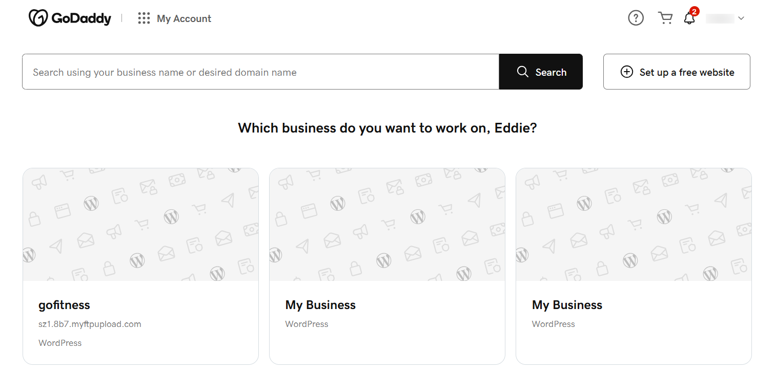 screenshot of GoDaddy Domain menu