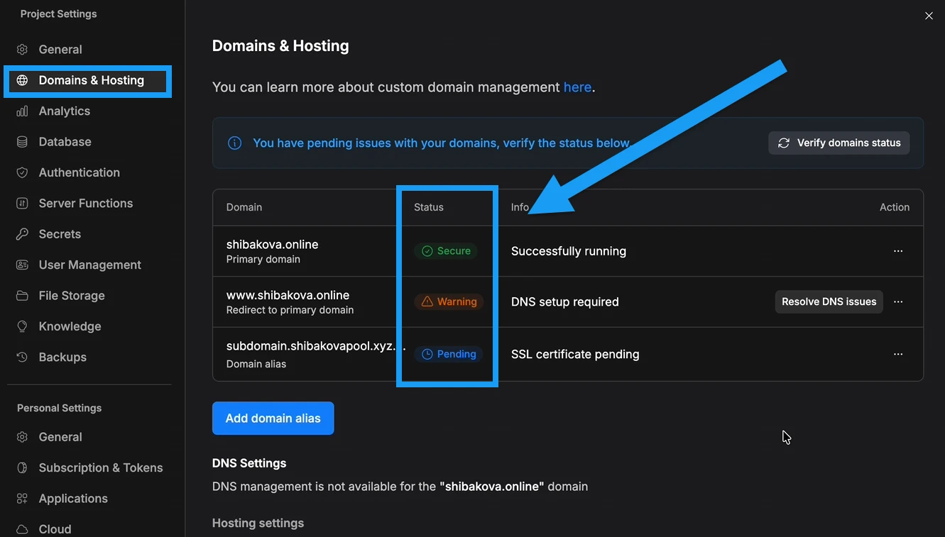 screenshot of Domains & Hosting tab