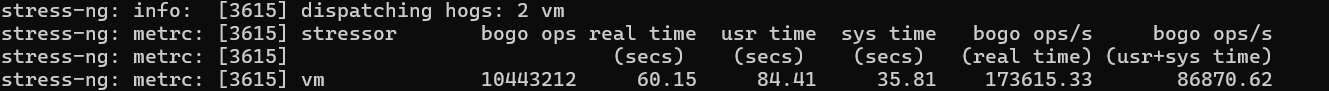 screenshot of RAM Stress Test Results
