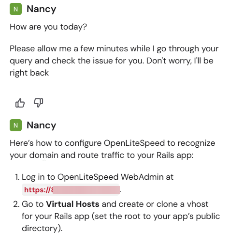 screenshot of Nancy support conversation