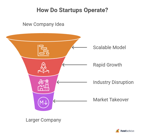 How Do Startups Operate?