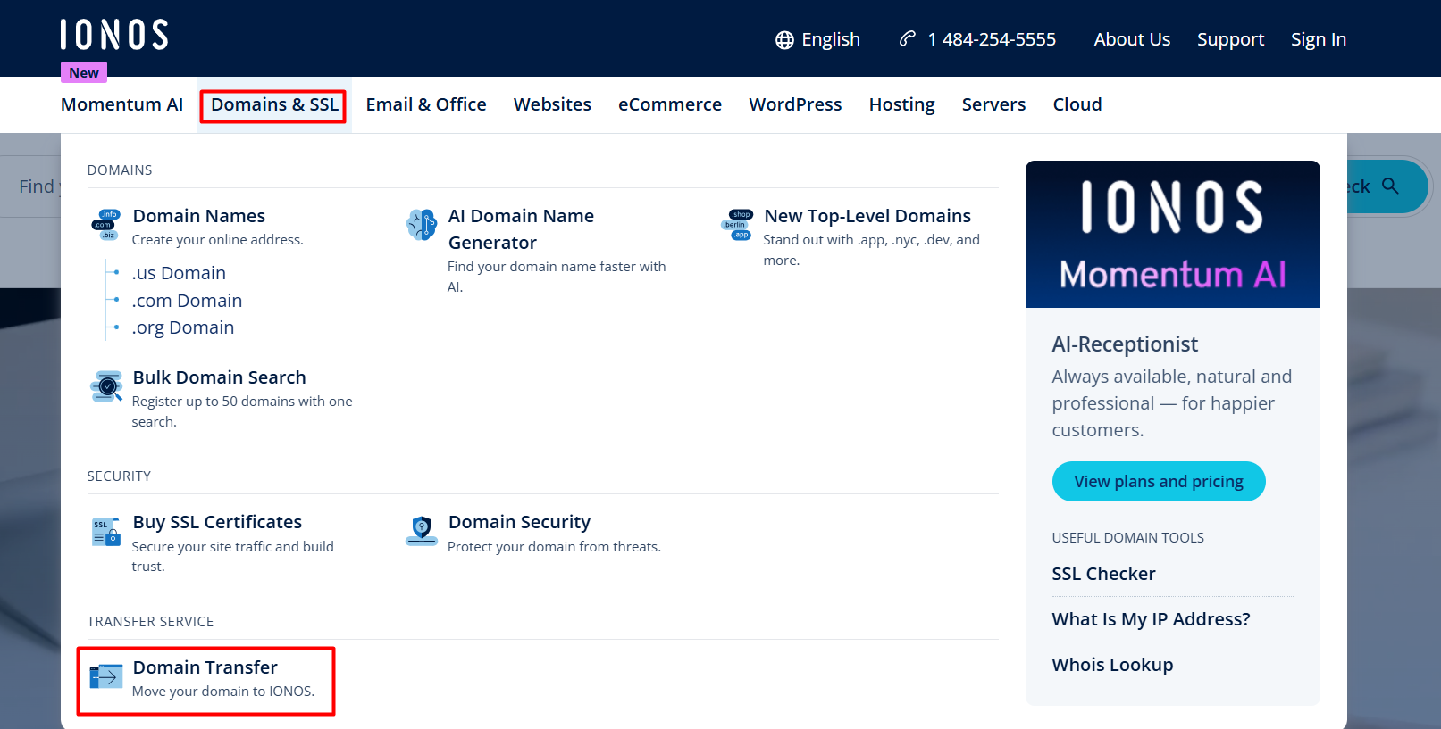 IONOS Domains and SSL menu with Domain Transfer option