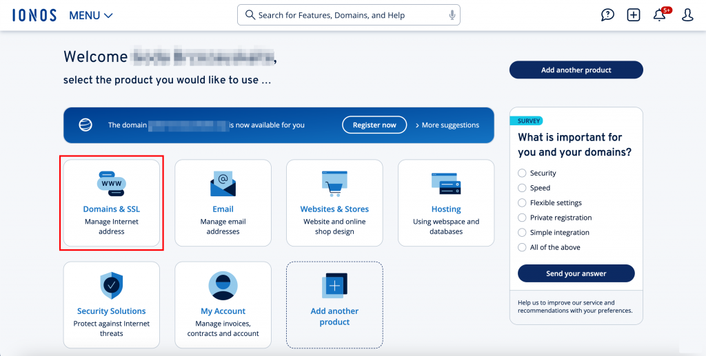 IONOS dashboard Domains section for existing customers