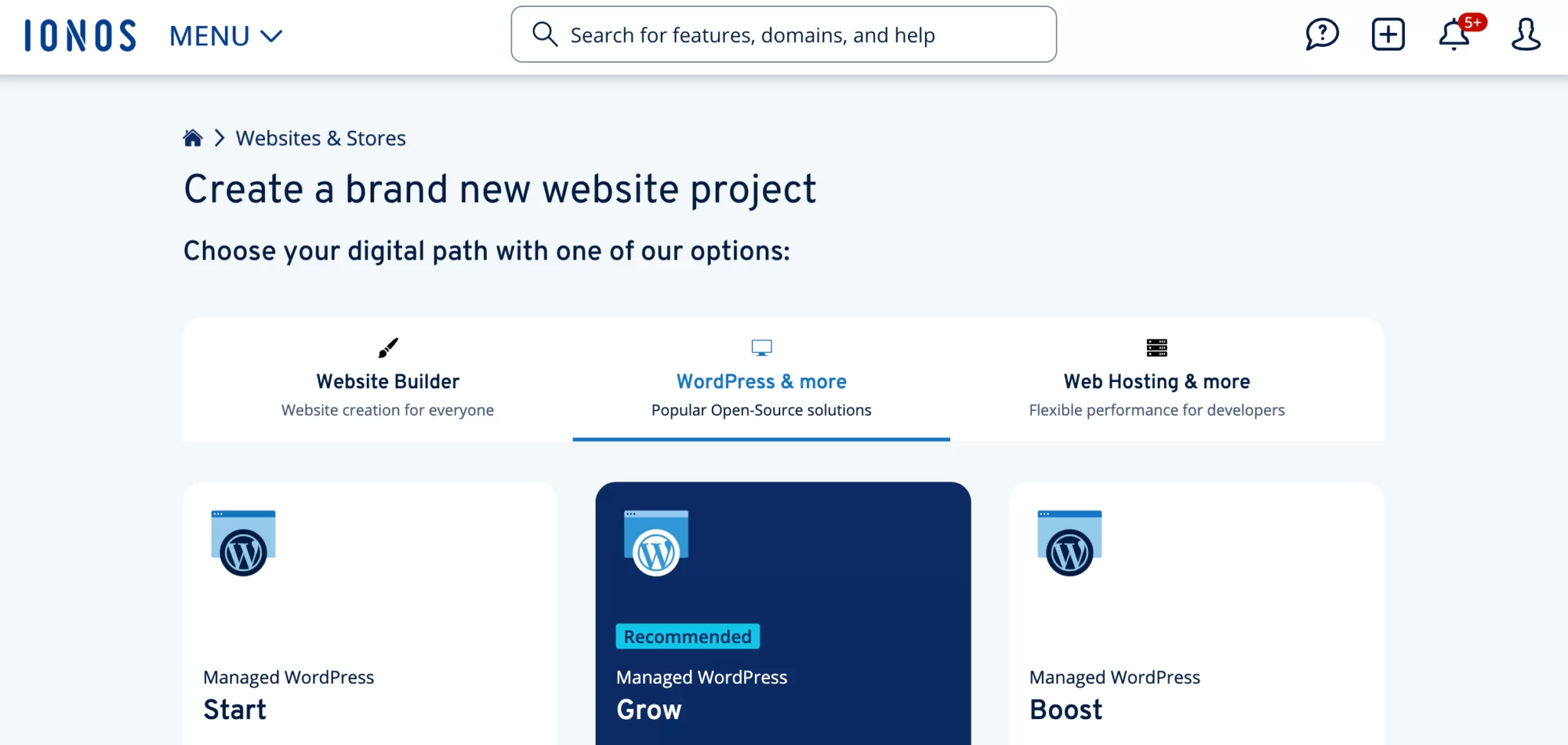 IONOS Websites & Stores section in the control panel