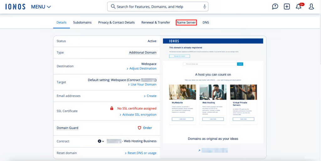 IONOS DNS management page with DNS records and domain settings