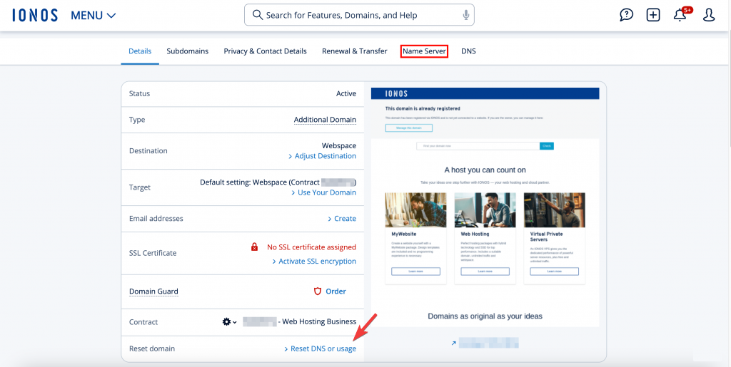 IONOS Name Server page showing the Reset DNS or usage option