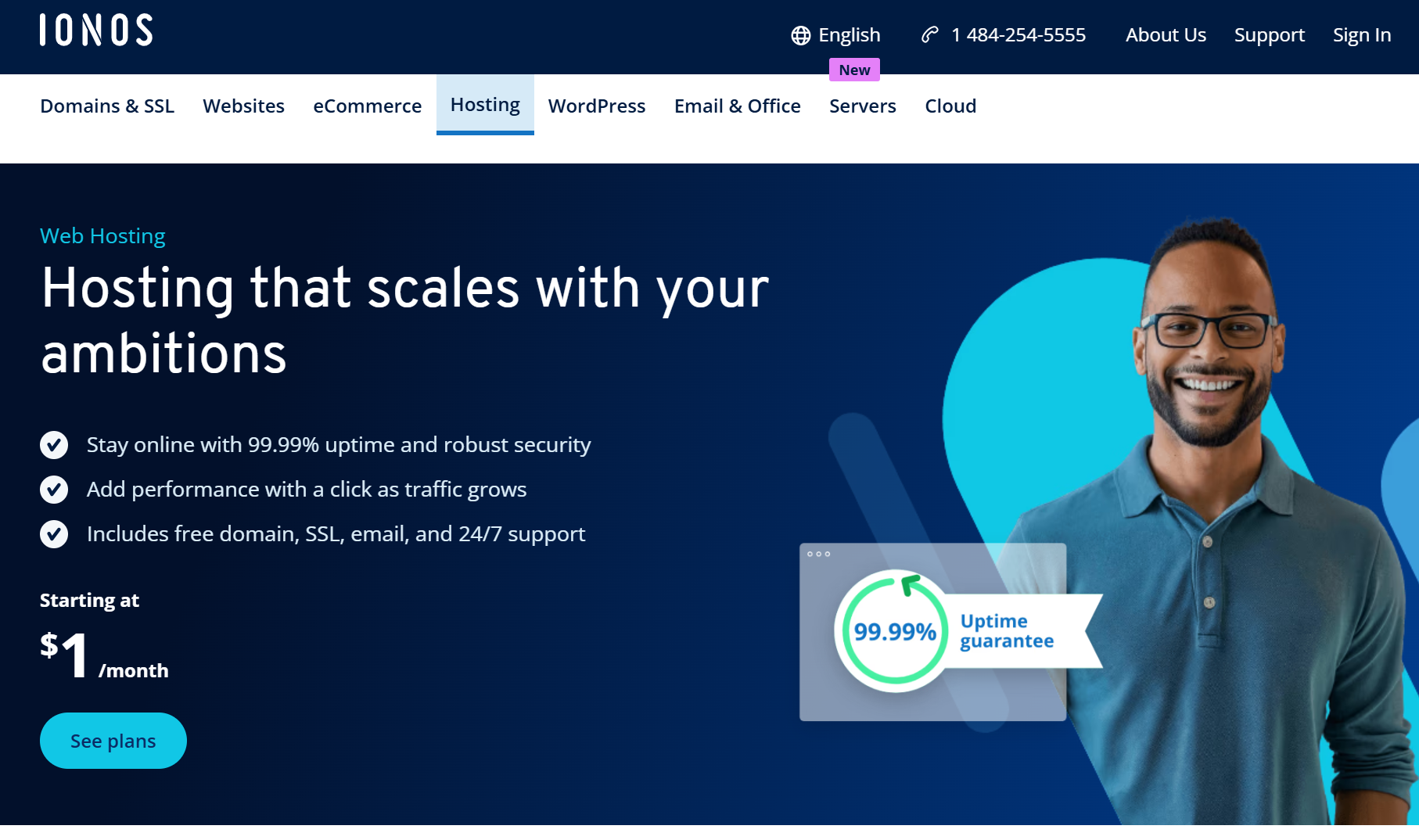 IONOS hosting screenshot