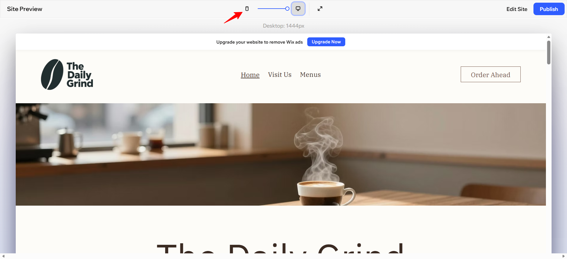 screenshot of view options