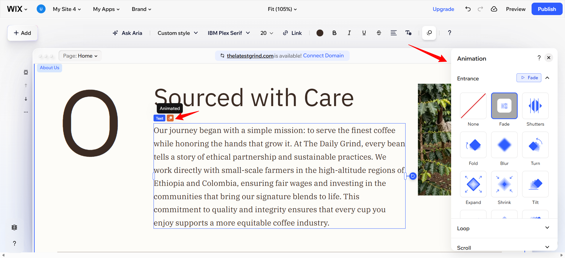 screenshot of Wix Text Editor