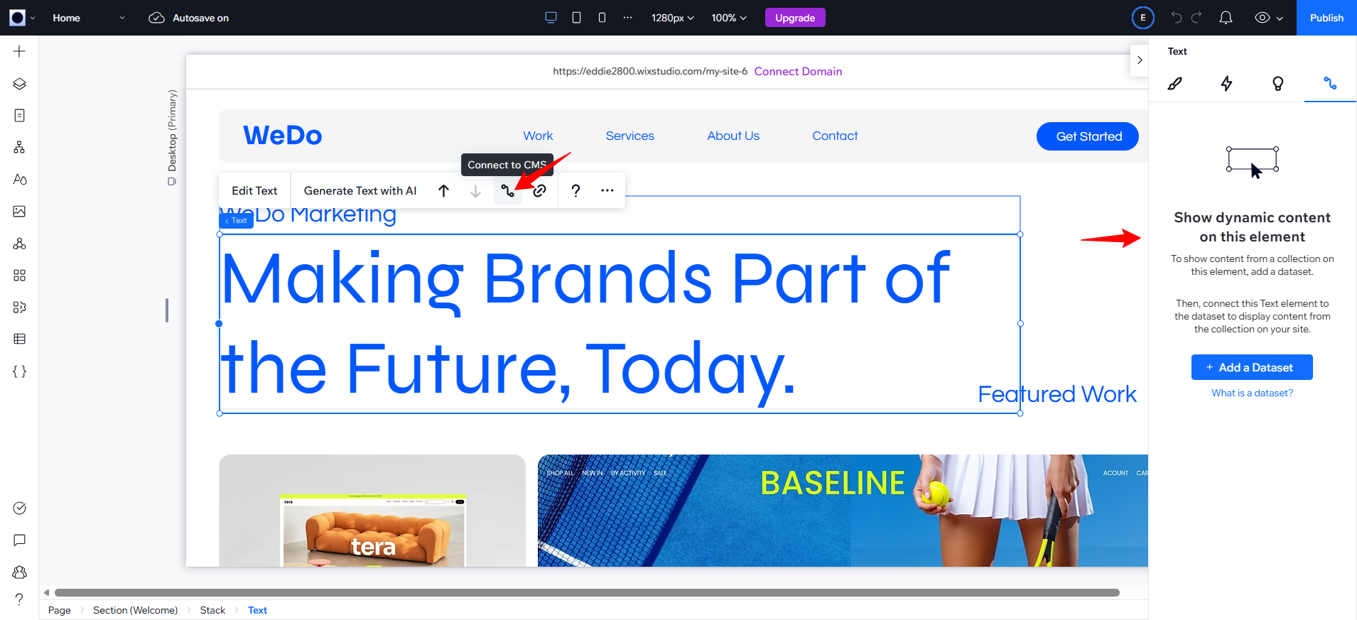 screenshot of WIX Studio 'Connect to CMS' button