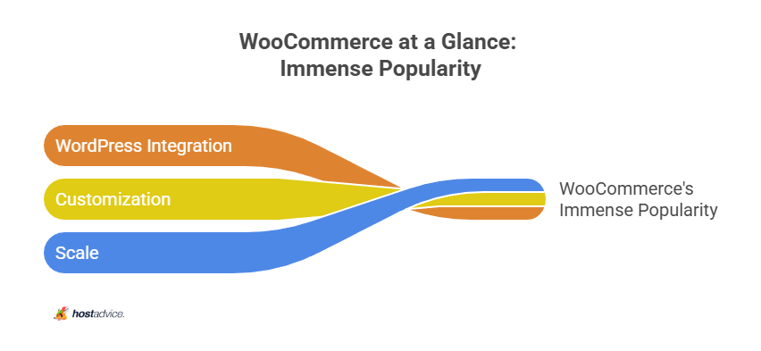 WooCommerce at a Glance: Immense Popularity