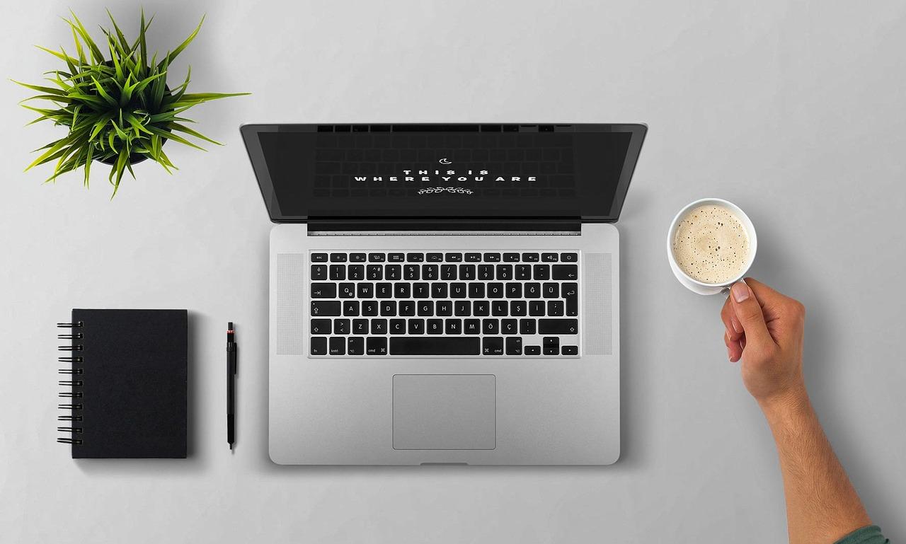 A businessperson building a portfolio website.