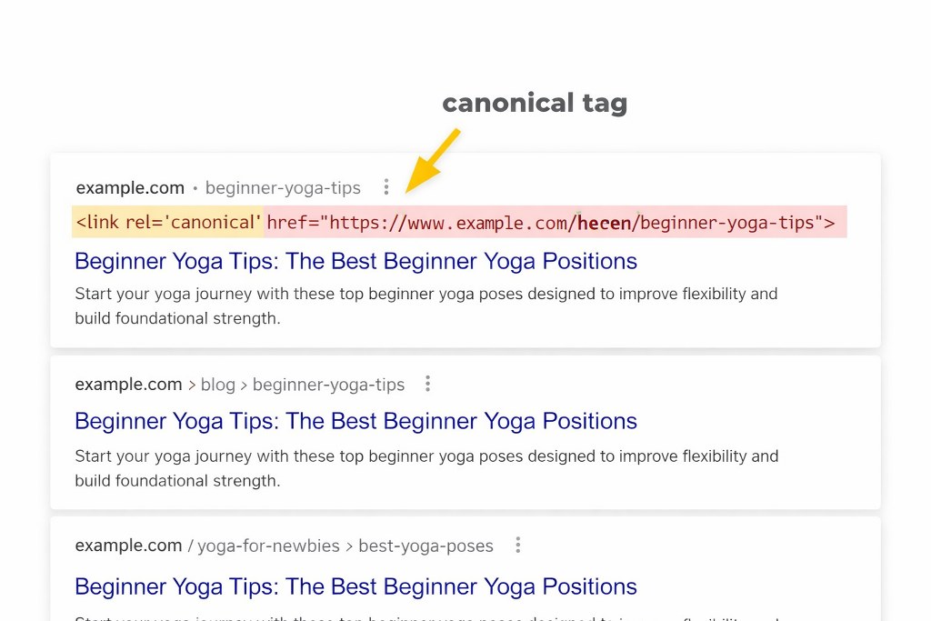 Canonical tag in search results.