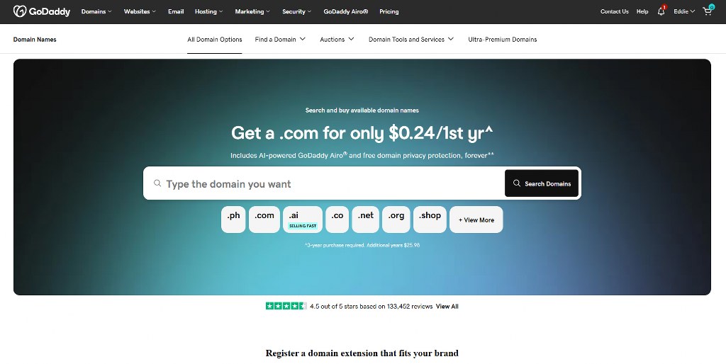 GoDaddy domain registration.