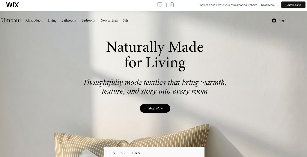 Home Goods Store (Cosy) template.