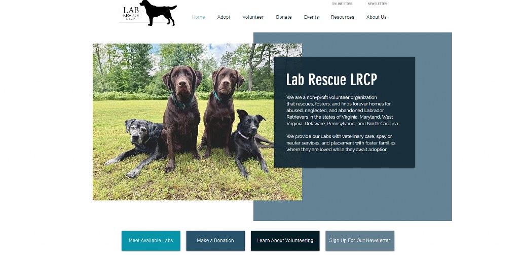Lab Rescue website.