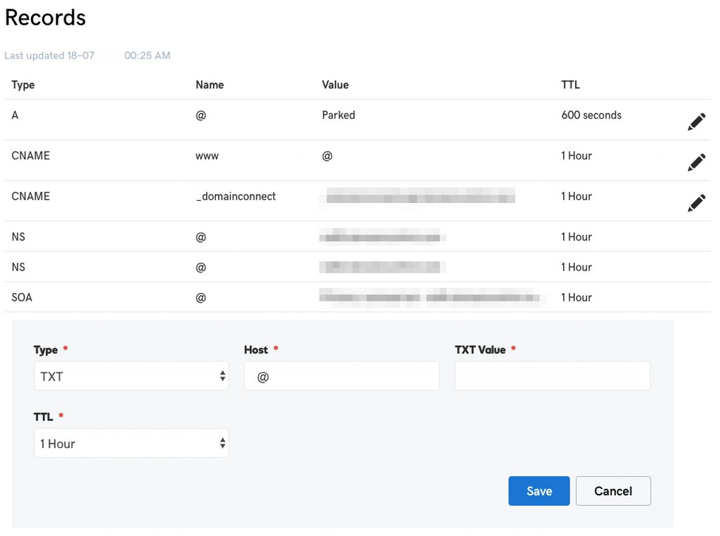 Managing DNS records A view of TXT entries within the domain control panel.