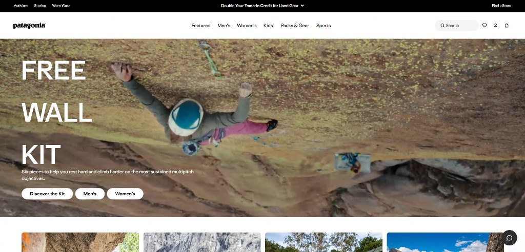 Patagonia's website_2