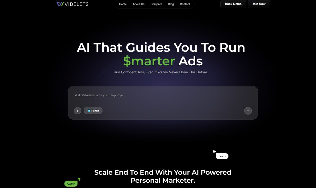 Vibelets website_2