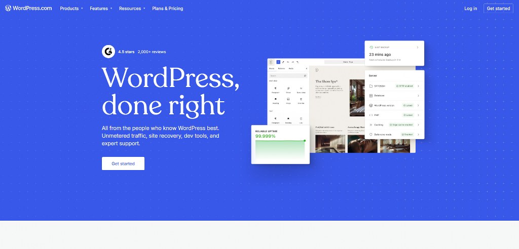 WordPress website_new