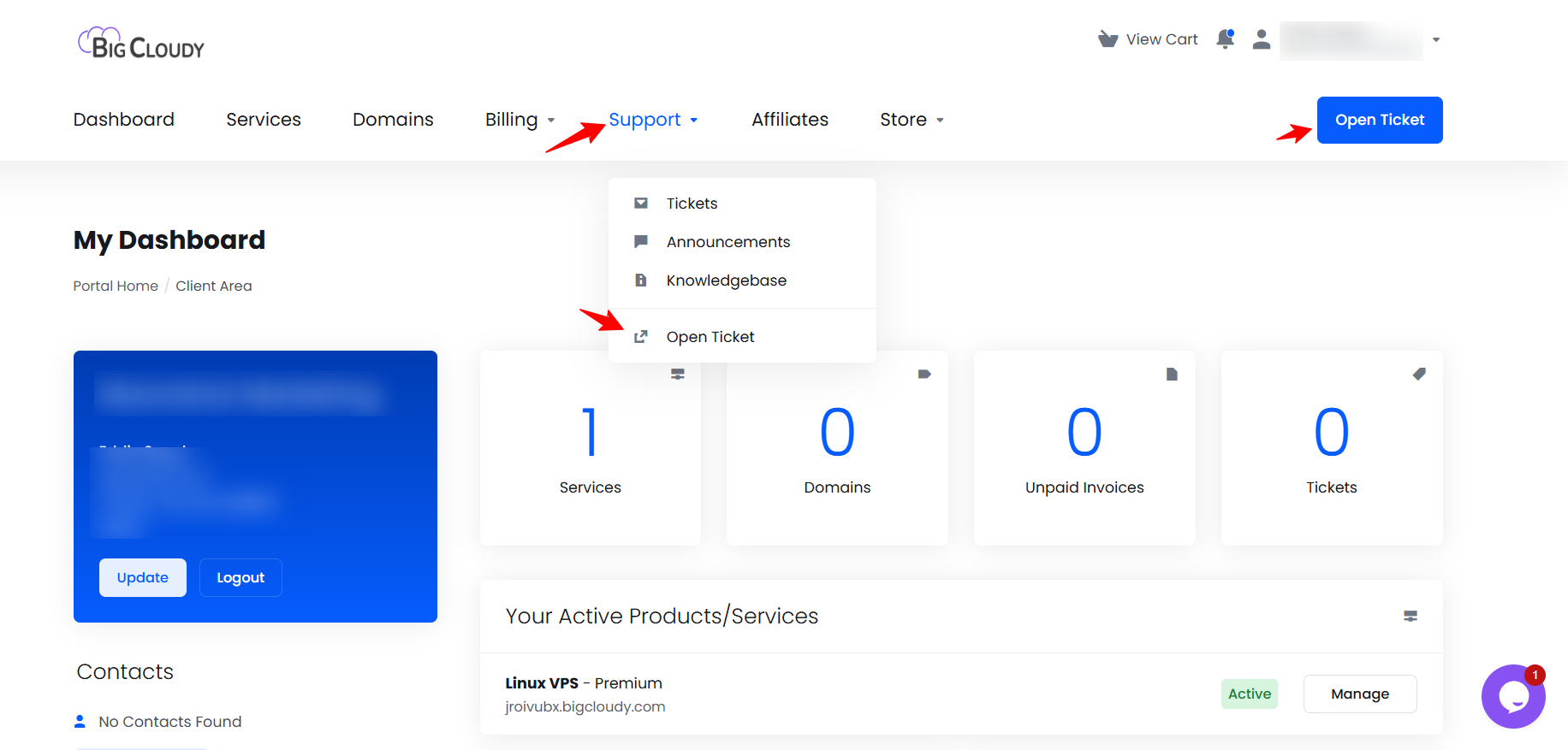 screenshot of BigCloudy Support options
