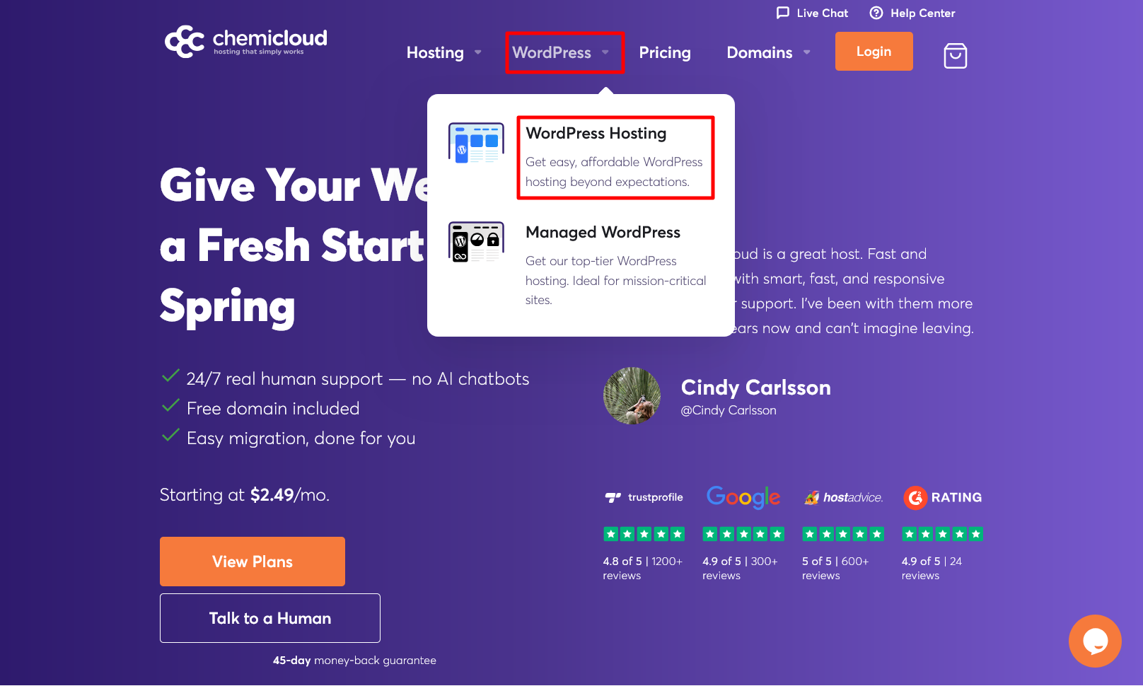 ChemiCloud homepage WordPress hosting menu dropdown