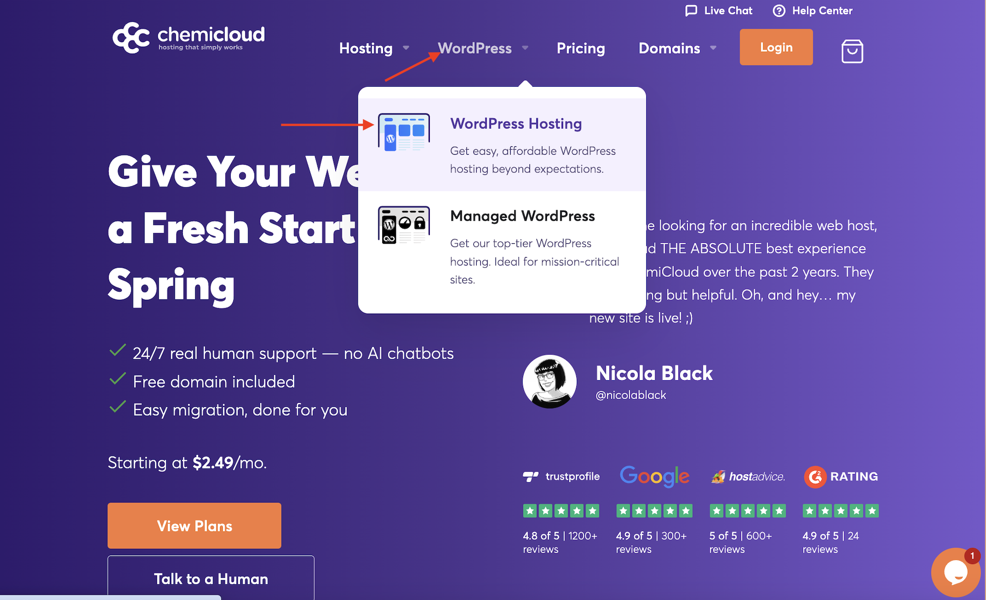 ChemiCloud WordPress menu dropdown on homepage