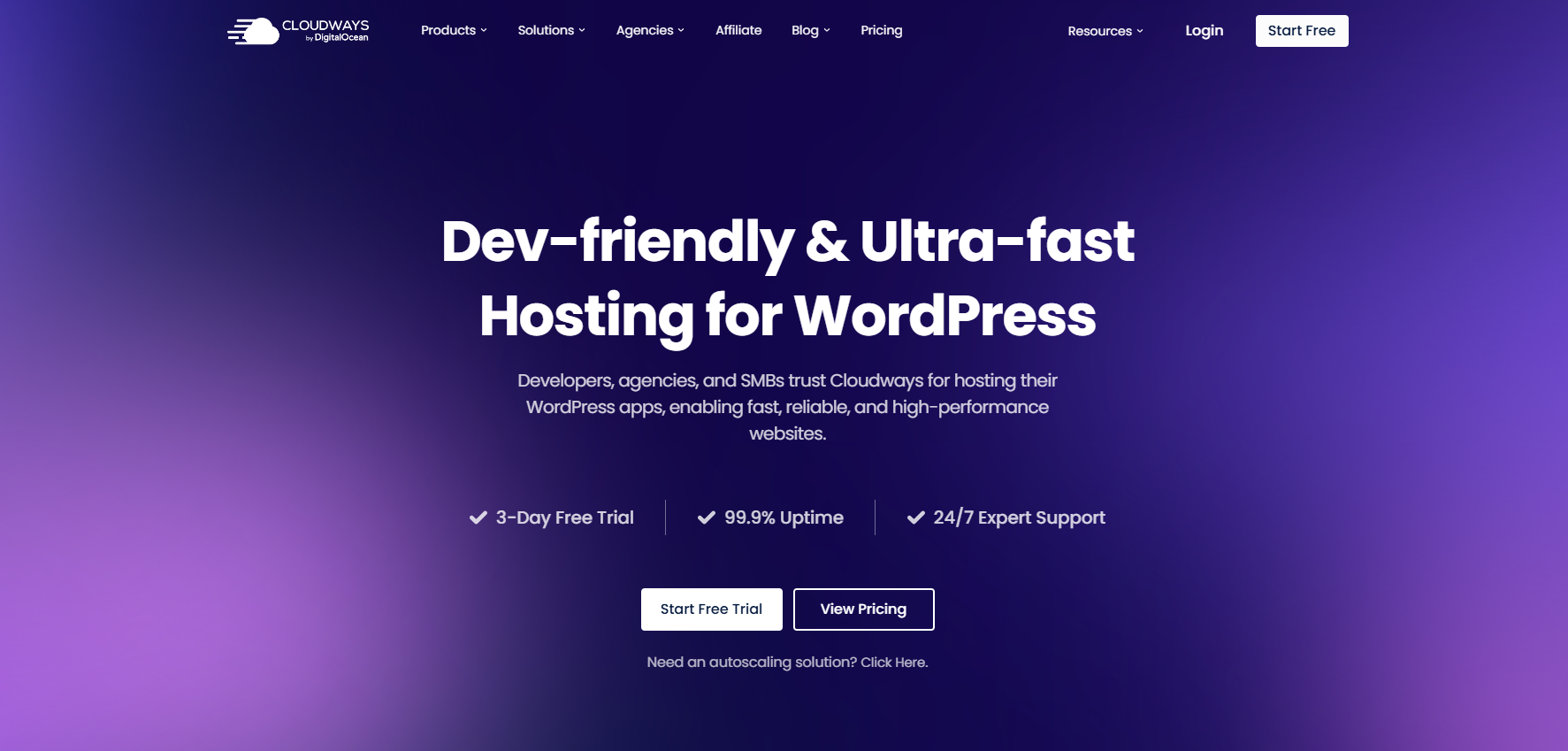 screenshot of Cloudways WordPress page