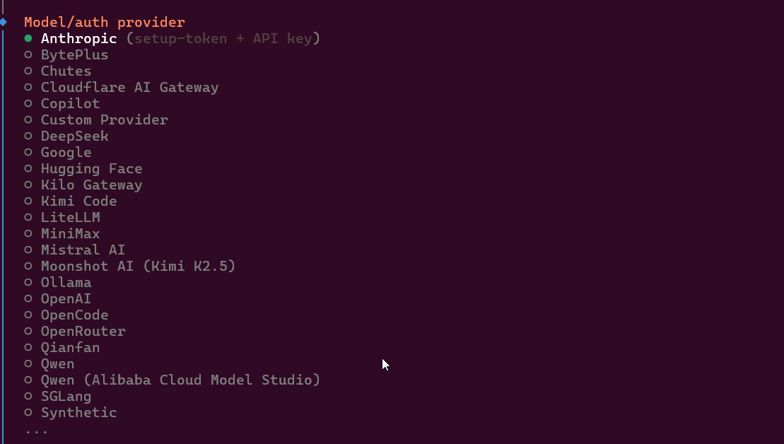 OpenClaw onboarding screen for selecting an AI provider and entering an API key