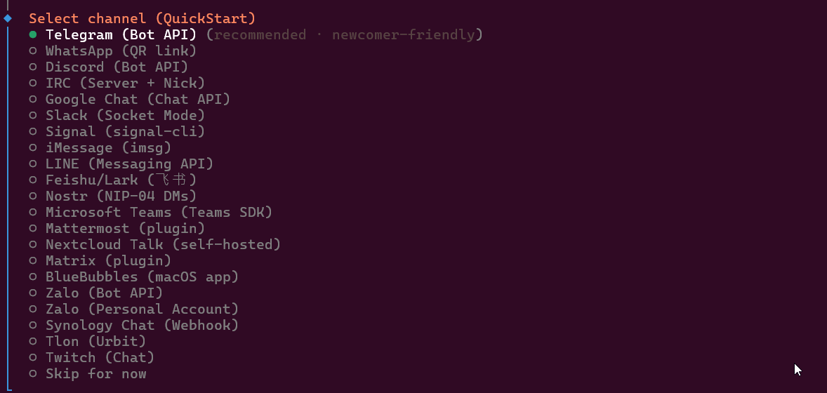 OpenClaw onboarding screen showing supported channels such as Telegram WhatsApp Discord and Slack