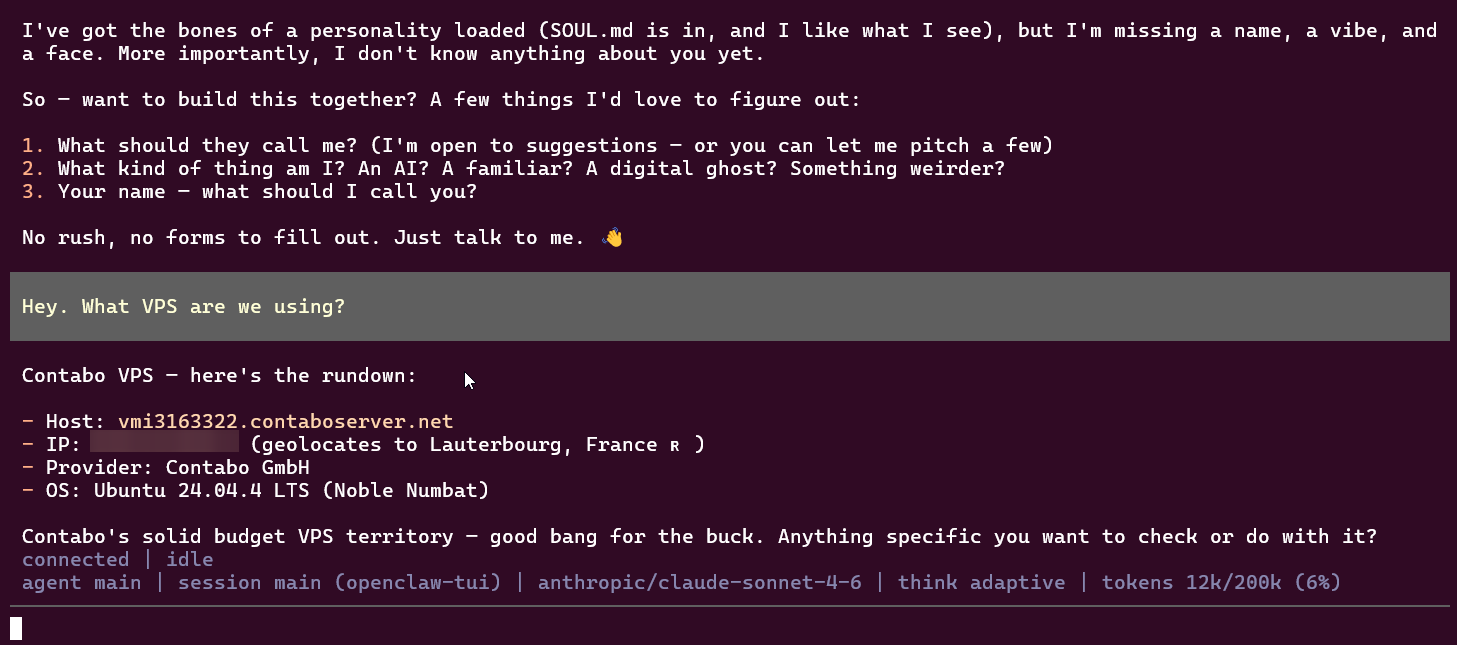 OpenClaw terminal interface responding to chat prompts during testing