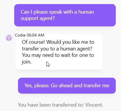 screenshot of Decodo live chat conversation