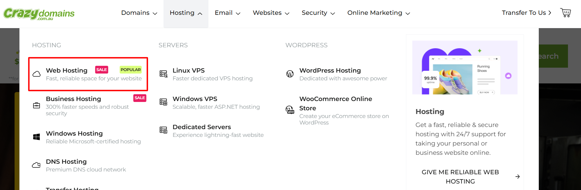 GoDaddy Vs Crazy Domains