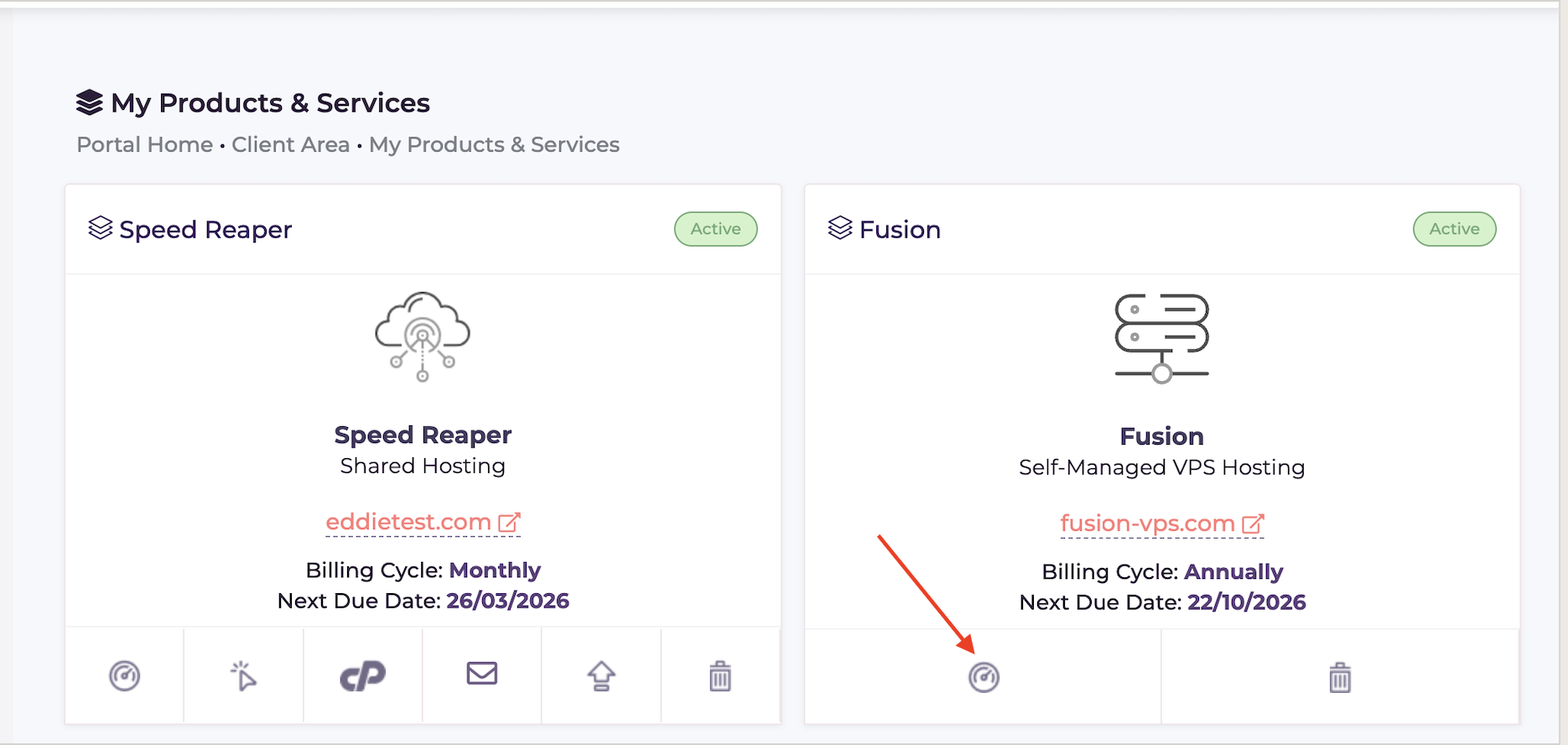 HostArmada VPS service management page