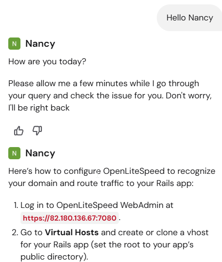 screenshot of Hostinger live chat conversation
