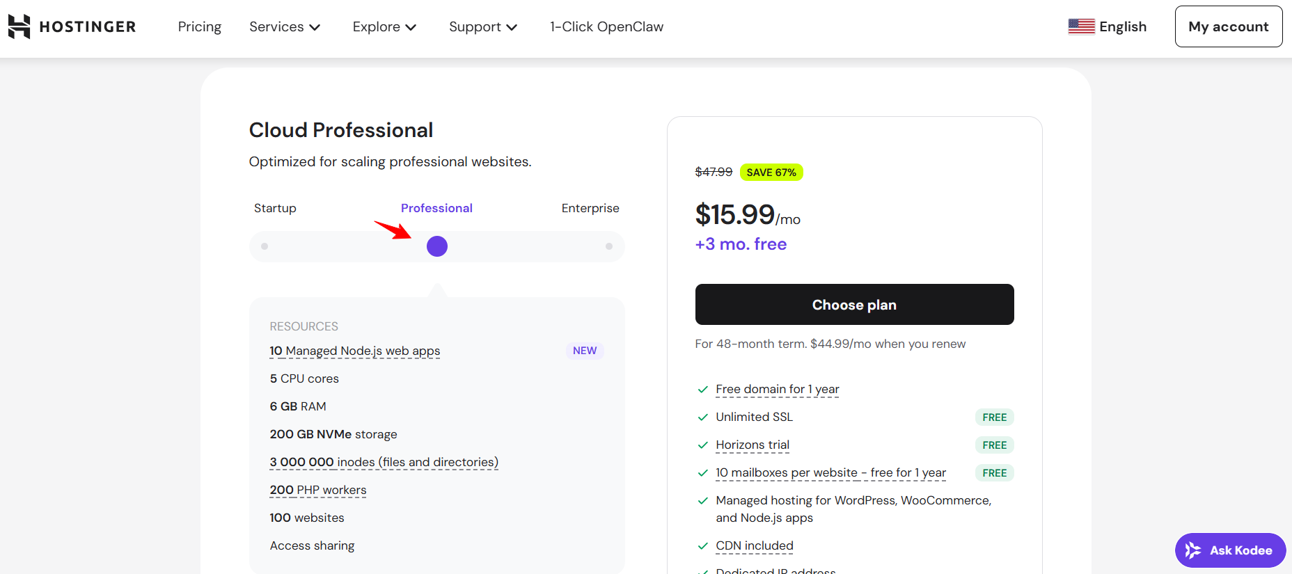 screenshot of Cloud Professional plan configurations