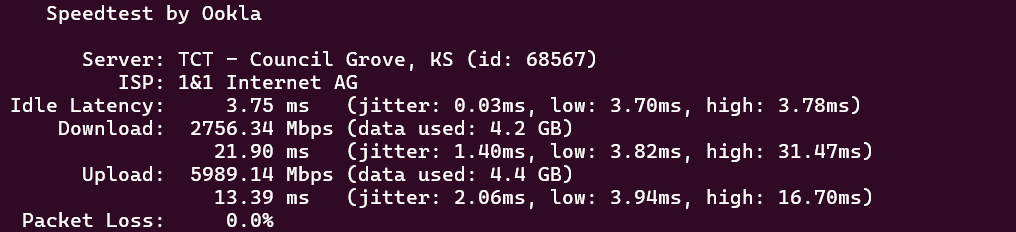 screenshot of IONOS Network Performance test result