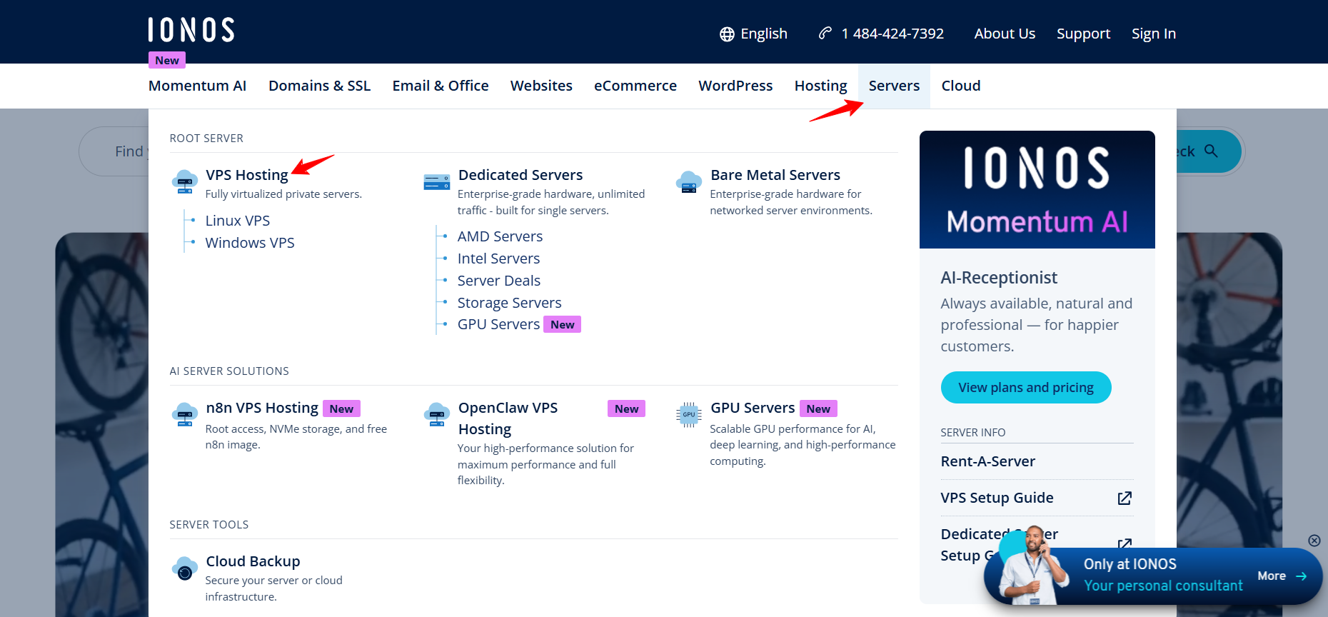 screenshot of IONOS website VPS Hosting button highlighted