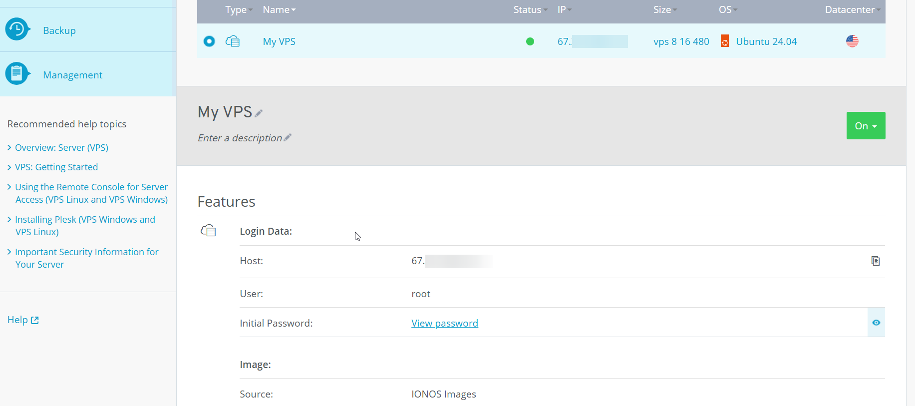 screenshot of IONOS Server information