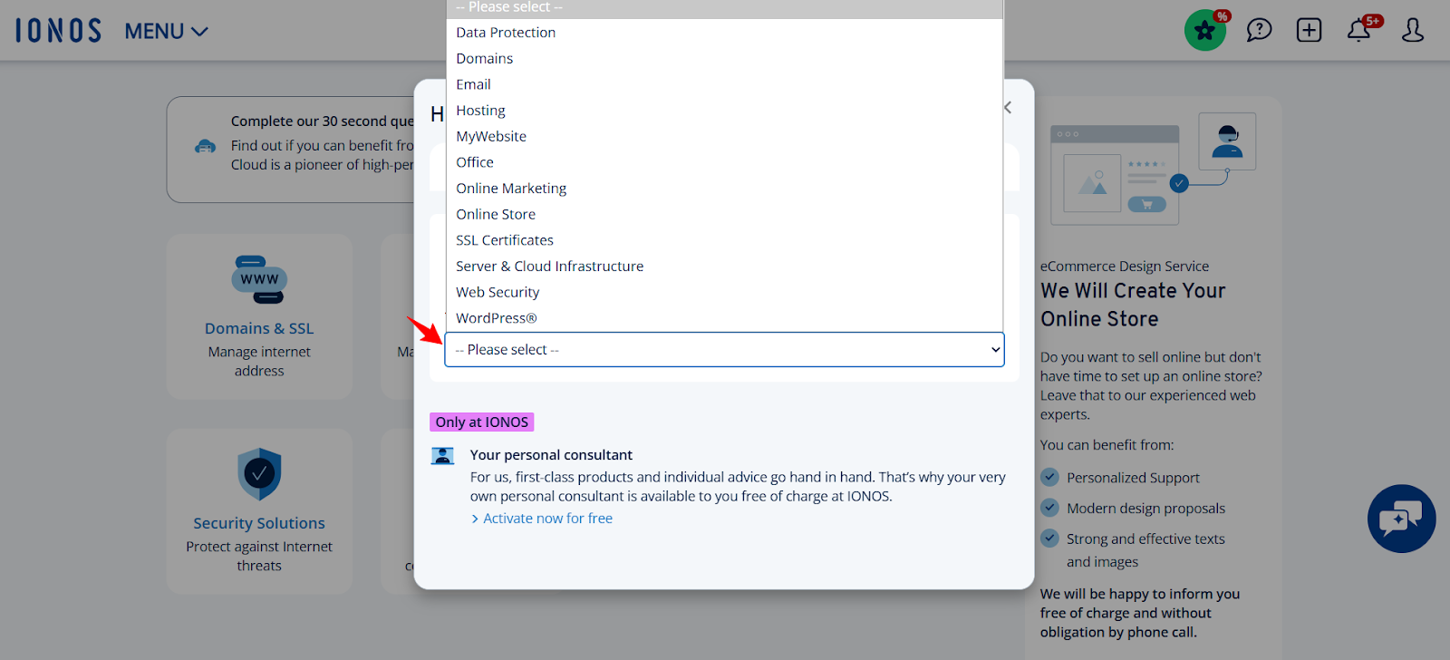 screenshot of IONOS Help & Contact popup window