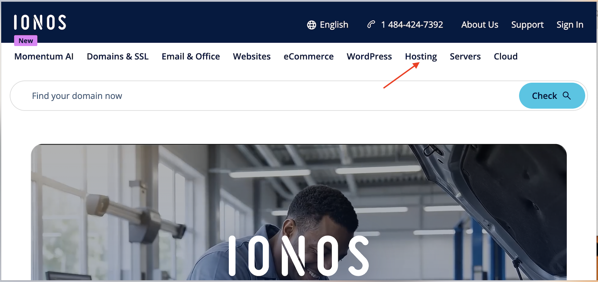 screenshot of IONOS website 'Hosting' button