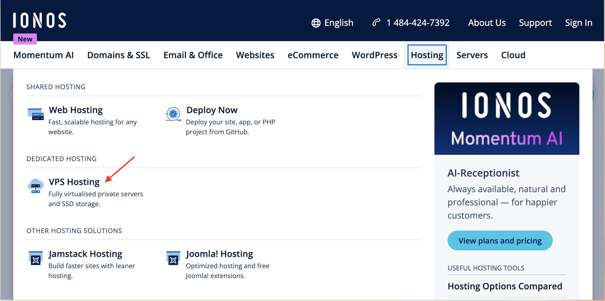 screenshot of IONOS website 'VPS Hosting' button