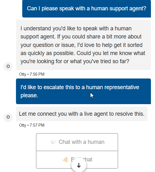 screenshot of Livechat conversation