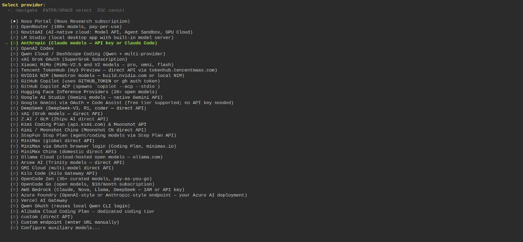 Hermes Agent terminal setup wizard showing LLM provider selection list