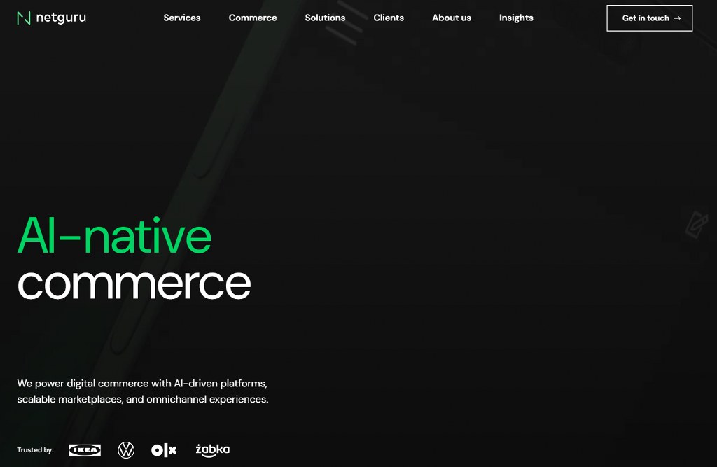 Netguru's website.