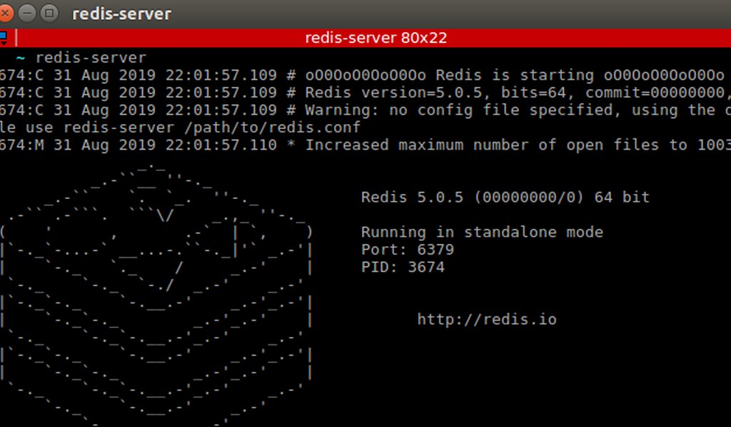 Redis server initializes successfully, displaying version details and classic ASCII startup banner.