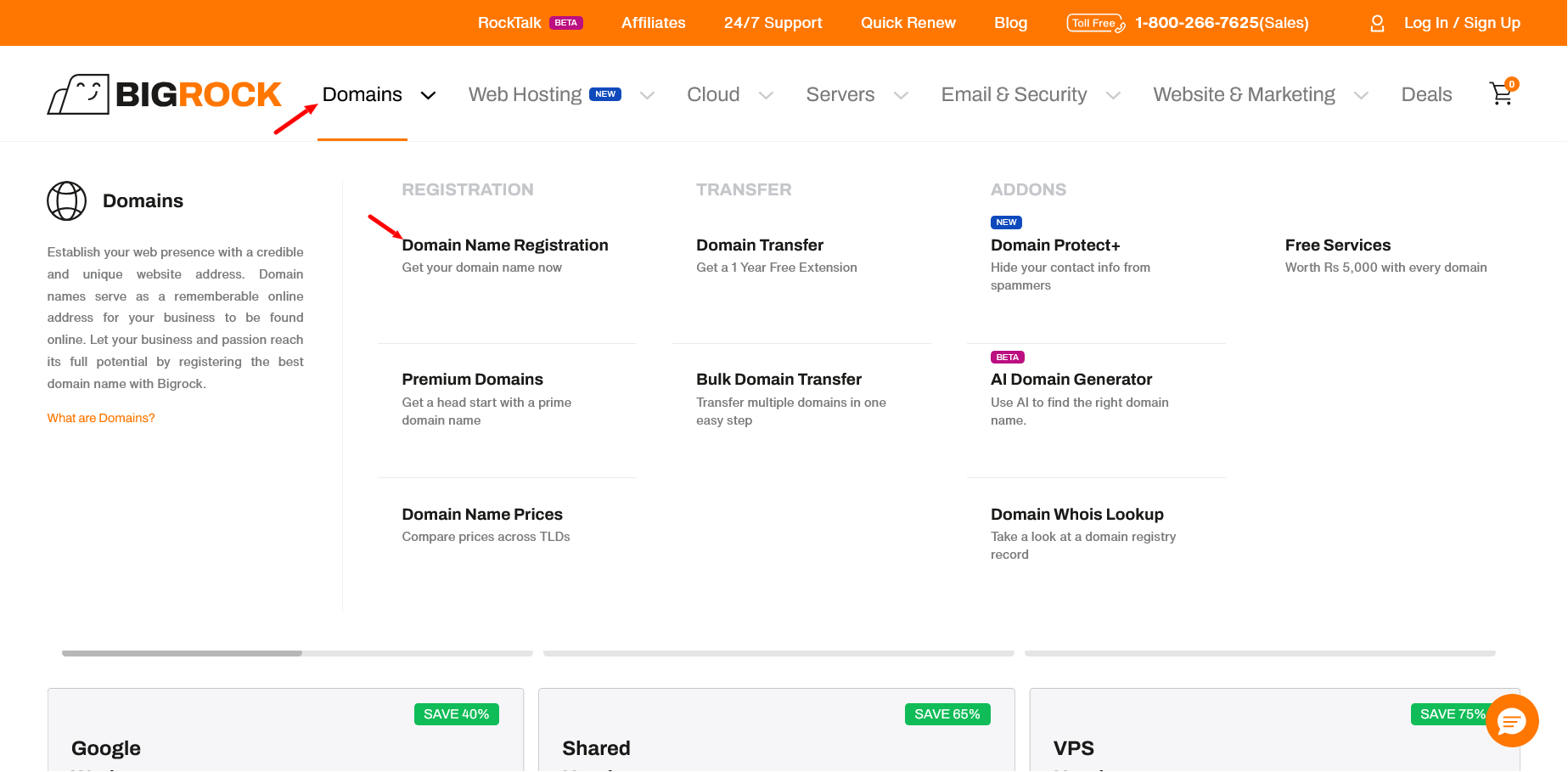 BigRock Domains dropdown showing domain registration options